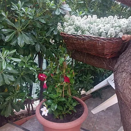 Bed and breakfast Ninni Castelbuono (Sicily)