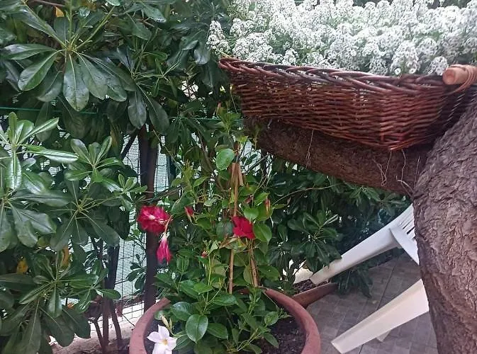 Oda ve Kahvaltı Ninni Castelbuono (Sicily)